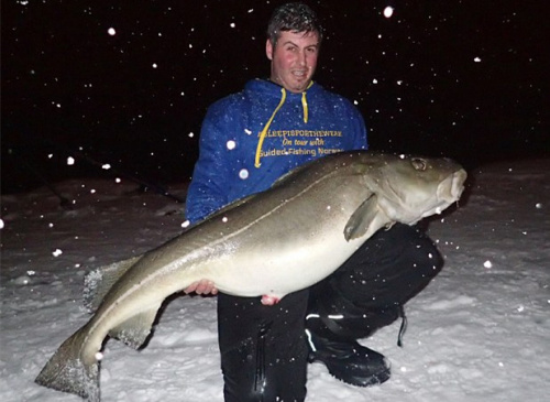 32岁英国垂钓者在挪威钓到约30公斤重的鳕鱼。