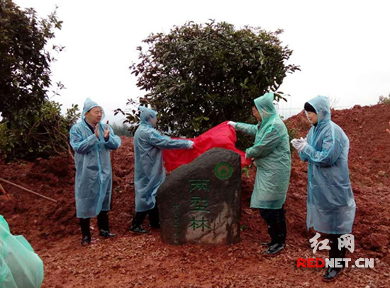 长沙市“两型林”全民义务植树活动正式启动。