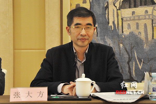 全国政协委员、湖南省政协副主席、九三学社中央常委张大方。