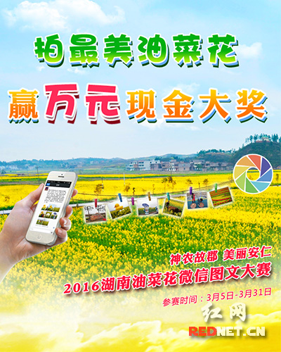 2016年安仁油菜花微信图文大赛于3月5日正式启动。