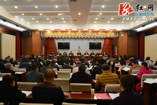 张家界：坚持服务青少年的正确方向 凝心聚力做好关心下一代工作