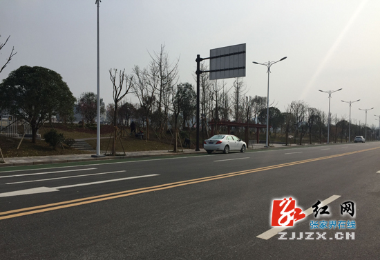 【城市观察员】请尊重“自行车道”做文明张家界人