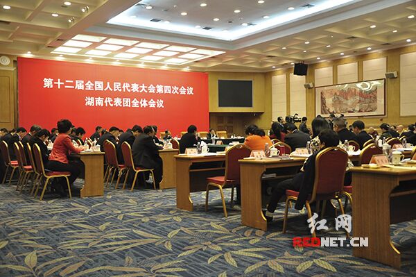 湖南代表团举行第七次全体会议，审议慈善法草案。