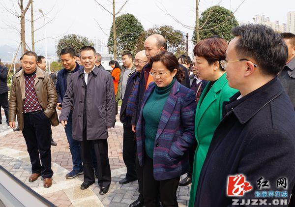 朱用文、褚新年参观考察张家界市城区“三化三改”工作