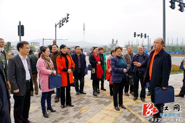 朱用文、褚新年参观考察张家界市城区“三化三改”工作