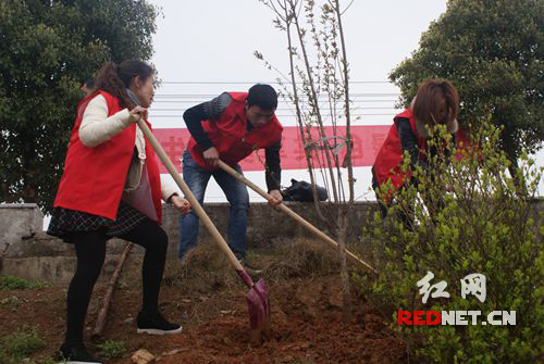 志愿者正在位于湘乡 市污水处理厂的滨河东路堤岸上植树