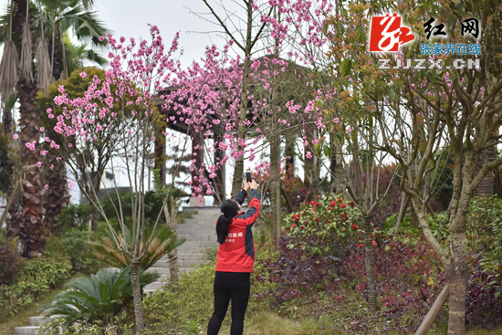 红网时刻新闻记者骑行穿越澧水南岸 感受城市新貌