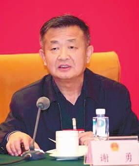  全国人大代表、湖南省人大常委会副主任谢勇。 记者 张目 摄