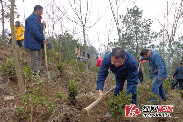 永顺县人口_永顺县