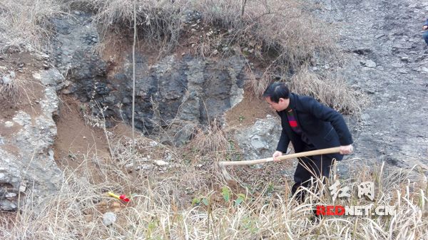 新关镇党委书记王亚平植树。