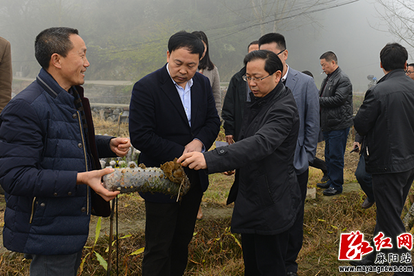 吉首市党政代表团到麻阳考察学习金融产业扶贫