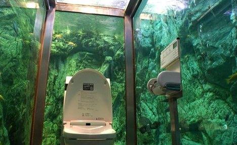 厕所成美景：日本人体验“与鱼共厕”身临其境（图）