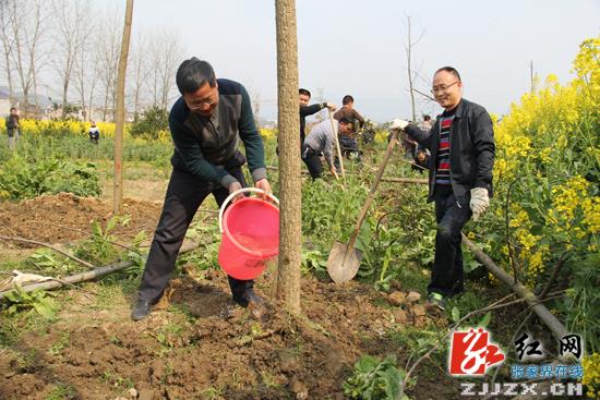 书记、县长带头 为常张高速公路慈利段绿化带添绿