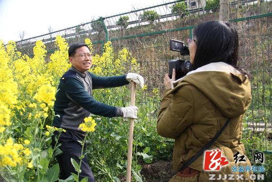 书记、县长带头 为常张高速公路慈利段绿化带添绿