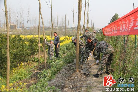 书记、县长带头 为常张高速公路慈利段绿化带添绿