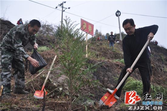 桑植县领导与群众一道义务植树 共建美丽生态家园