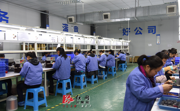 沅陵县书记调研工业园 确保"卡壳问题"不再卡