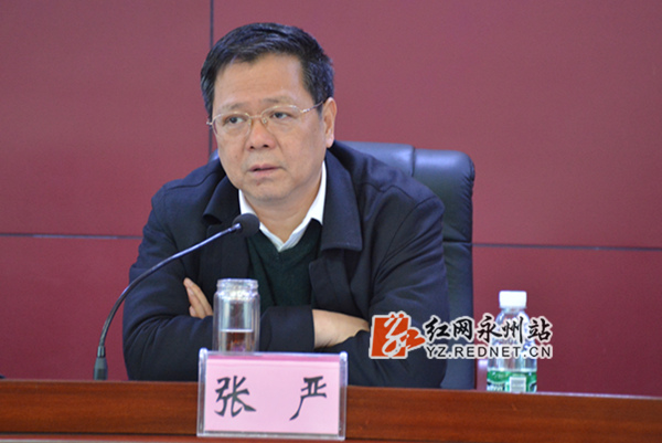 张严出席会议并讲话
