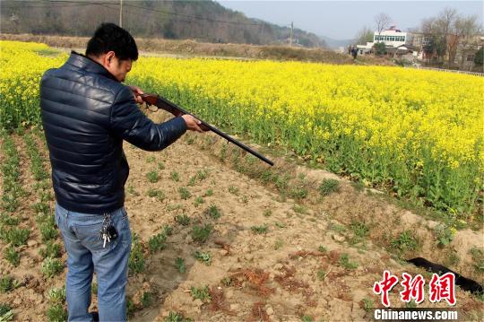 疯狗发狂咬伤村民民警开枪将其击毙（图）