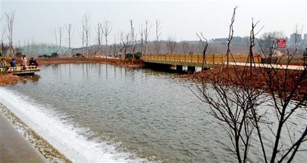 城市湿地公园一角