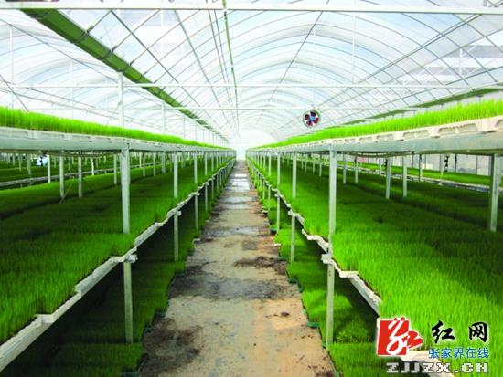 慈利县培育发展46家移民专业合作社