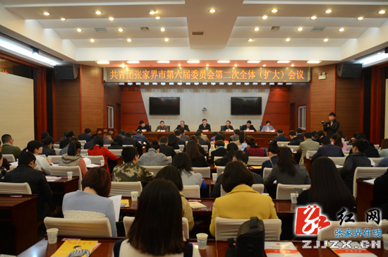 共青团张家界市第六届委员会召开第二次全委（扩大）会议