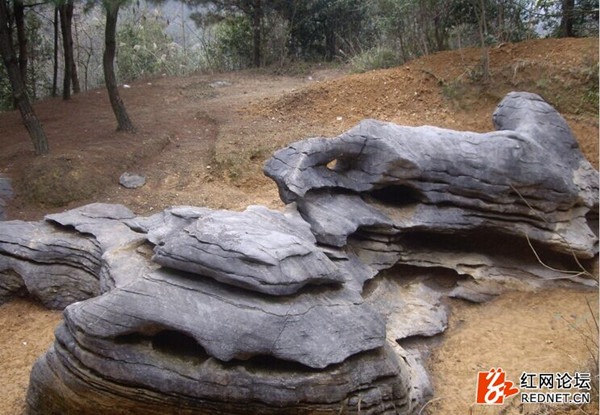 裸露出来的石头造型奇特（网友供图）