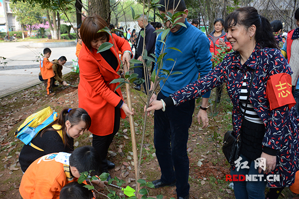 雨花区美林景园社区内，志愿者与幼儿园小朋友在植树。