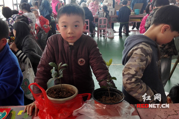 义卖活动学生们各出奇招，一年级的文劲皓同学带来了自己种植的花草。