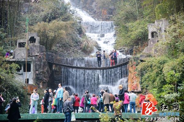 张家界宝峰湖景区杜鹃盛开游人欢