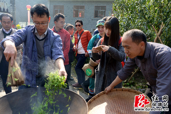 炒茶师傅现场手工炒茶。