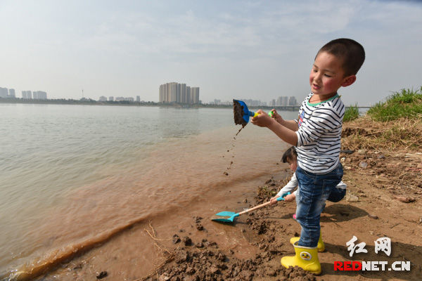 在湘江边玩沙子，可不是哪里的小朋友都能享受得到的“福利”。