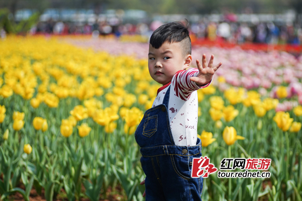 萌宝来袭，关键看气质。刘洋 摄