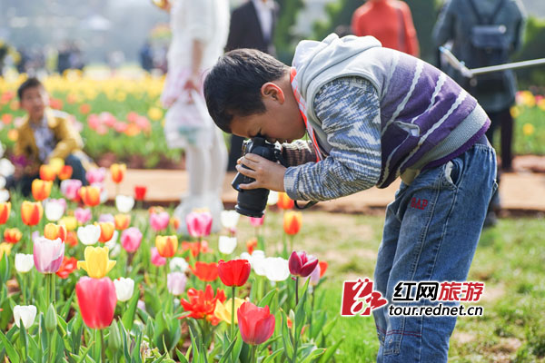 走心的小摄影师。