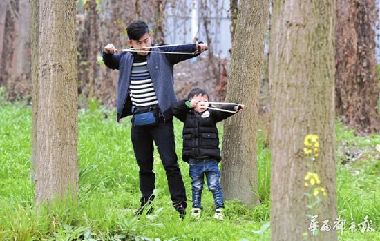 小朋友玩弹弓也有板有眼。