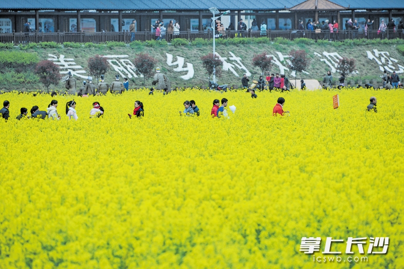 浏阳发布十大休闲农业与乡村旅游精品线路