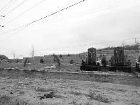 老板承包基本农田建墓地每座售价1.3万元（图）