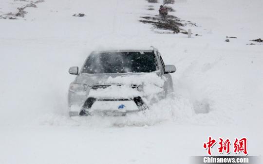 四川藏区石渠县突降大雪23乡镇不同程度受灾