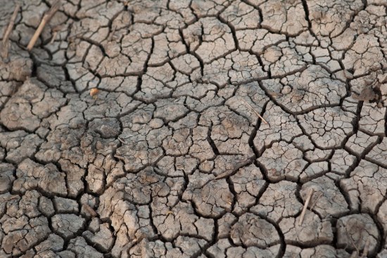 联合国：森林损失严重2025年全球约18亿人缺水