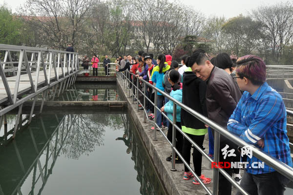市民参观长沙供水有限公司第五制水分公司的制水工艺流程。