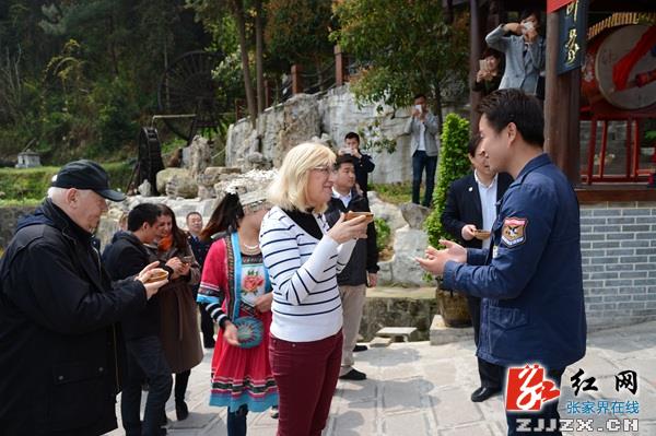 奥地利副议长访问张家界核心景区武陵源