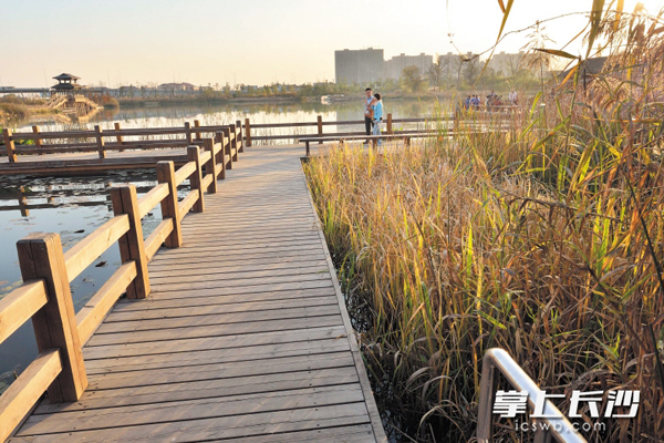 水土保持不合格 项目验收一票否决
