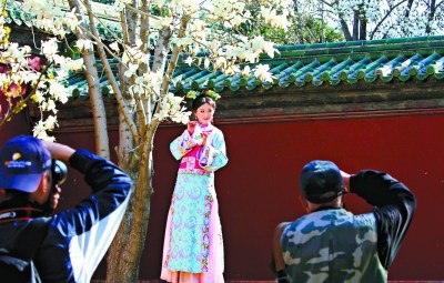 周末进入盛花期北京市属公园25项活动迎小长假