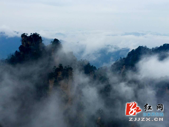 张家界天子山云雾飘渺绕峰峦（图）