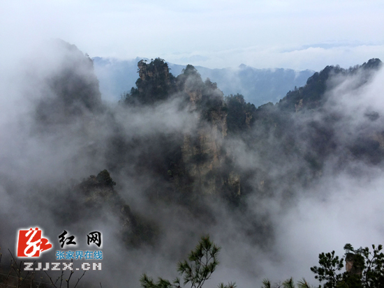 张家界天子山云雾飘渺绕峰峦（图）