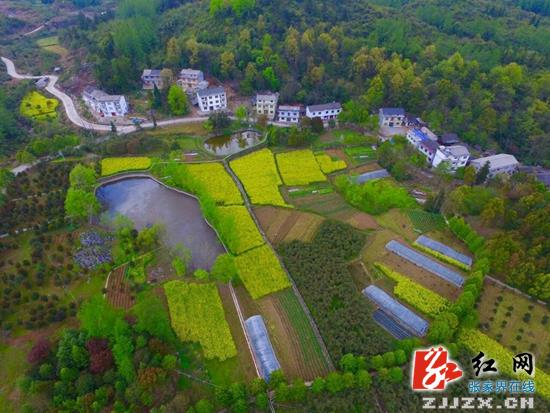 武陵源：“色彩乡村”空中俯瞰似油画