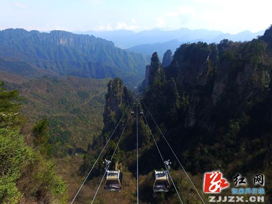 张家界武陵源:无人机航拍峰林奇景美不胜收