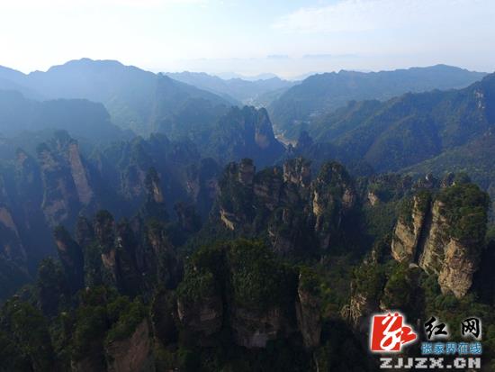 张家界武陵源:无人机航拍峰林奇景美不胜收