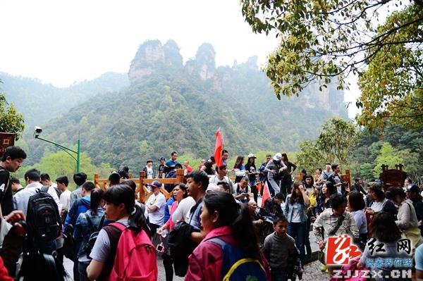 张家界核心景区武陵源清明游红火有序
