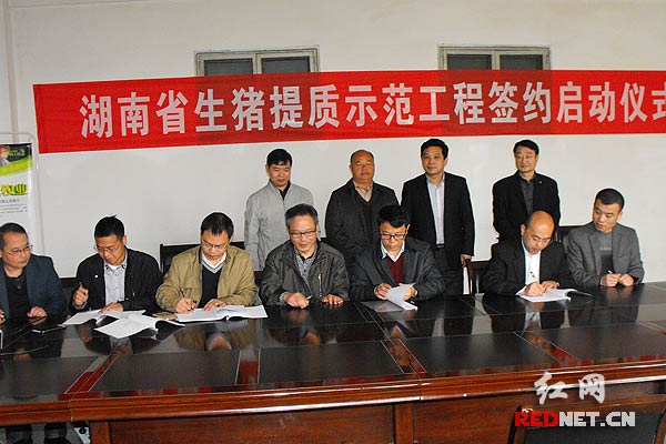 图：湖南省生猪提质示范工程签约启动仪式在长沙举行。